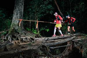 BIB: 
                            <button type="button" onclick="openModal(27559531)" class="btn btn-primary btn-sm float-right btn-popup" data-toggle="modal" data-target=".modal-high-quality">
                        <i class="fas fa-shopping-cart"></i> Add to Cart
                    </button>
                                            <button type="button" onclick="isThisMe(27559531, true)" class="btn btn-success btn-sm float-right btn-popup btn-isme hidden" data-toggle="tooltip" data-placement="bottom" title="นี่คือรูปของคุณใช่ไหม คลิกที่นี่เพื่อเอาเข้าอัลบั้ม">
                        <i class="fas fa-plus"></i> Add to album
                    </button>
                    <button type="button" onclick="isThisMe(27559531, false)" class="btn btn-warning btn-sm float-right btn-popup btn-isnotme hidden">
                        <i class="fas fa-ban"></i> Remove from album
                    </button>